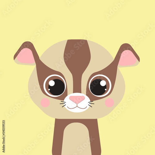 Wallpaper Mural sugar possum. Set of vector animals in cartoon style. Cute animals of Australia. A collection of small animals in the children's style. Cockatoo, duckbill, kangaroo, koala. Torontodigital.ca