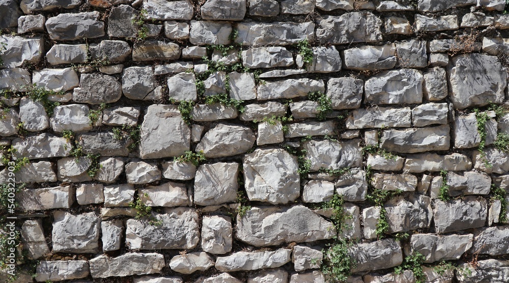 mur z kamienia porośnięty