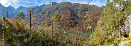 Fototapeta Naklejka Na Ścianę i Meble -  Colorful beech forest in Logar valley,  Slovenia