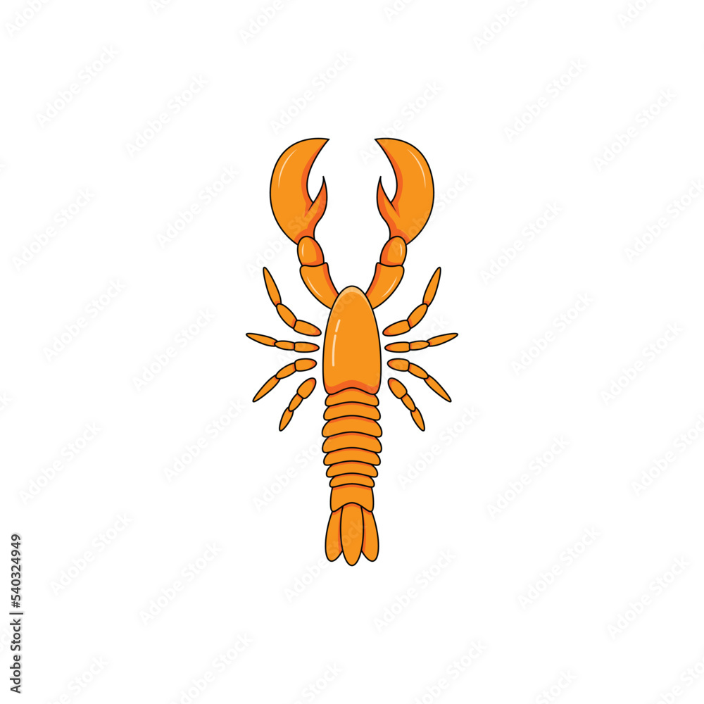 Obraz premium Cute shrimp isolated vector graphics