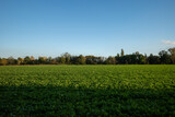 Outdoor scenery of farm suburban Düsseldorf, Meerbusch Germany against blue  sky.