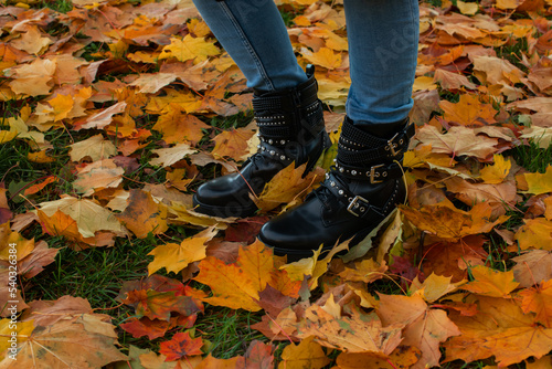 Female legs in black boots standing on a carpet of yellow fallen maple leaves while walking in an autumn forest