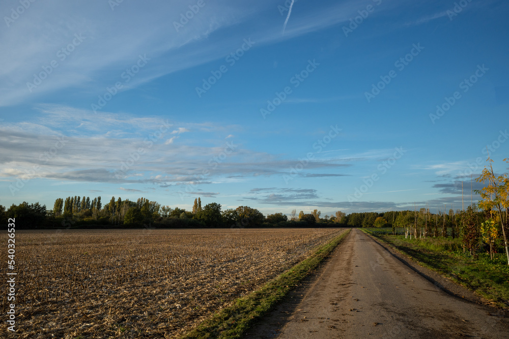 Outdoor scenery of small street without people in countryside area surrounded with farm and agricultural field and background of sunny sky. Outdoor scenery of small street without people in countryside area surrounded with farm and agricultural field and background of sunny sky.