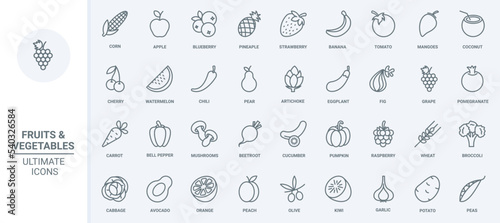 Fruit and vegetables thin line icons set vector illustration. Outline fresh food collection with apple strawberry banana tomato cherry coconut watermelon cabbage avocado potato olive pomegranate