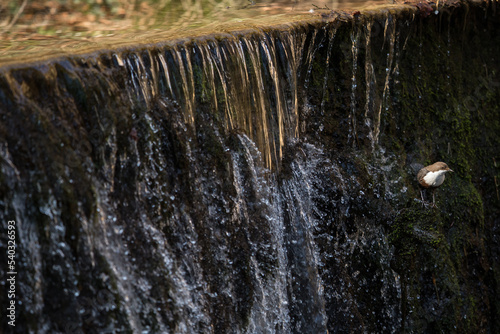 Water concept - river water flowing with light reflecting of its surface - fast exposure shot