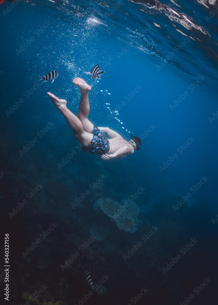 A guy from back Swimming with fishes in a blue ocean