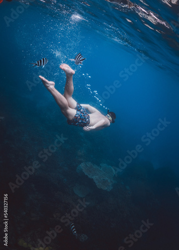 A guy from back Swimming with fishes in a blue ocean