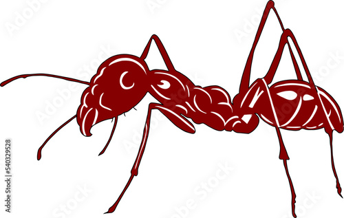 red ant element vector