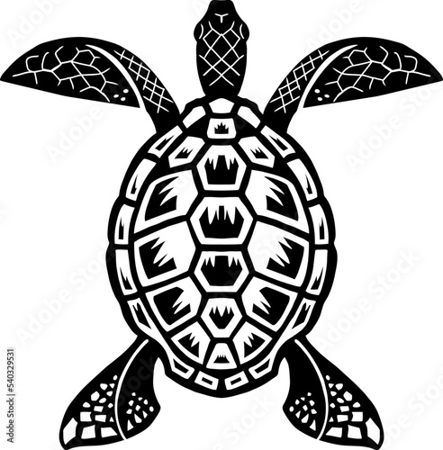 turtle vector line art