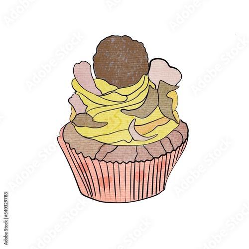 chocolate cupcake isolated on white