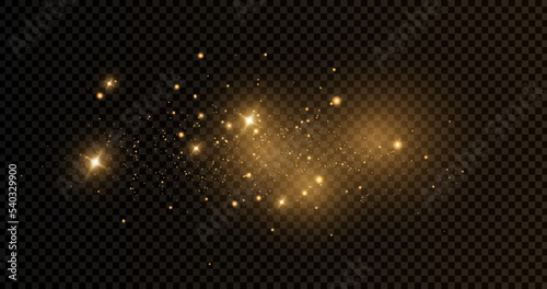 The dust sparks and golden stars shine with special light. Vector sparkles on a transparent background. . Stock royalty free vector illustration. PNG