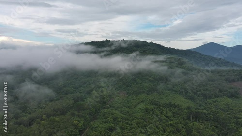 Mist rising through cloudforest in the foothills of  moution,Morning mist over the valley among the mountains in the sunlight. Fog and Beautiful nature of  aerial footage. photo