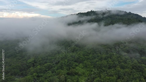 Mist rising through cloudforest in the foothills of  moution,Morning mist over the valley among the mountains in the sunlight. Fog and Beautiful nature of  aerial footage.