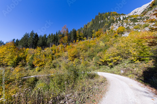 Gesäuse Nationalpark, Austria, Beautiful autumn colors around a hiking trail