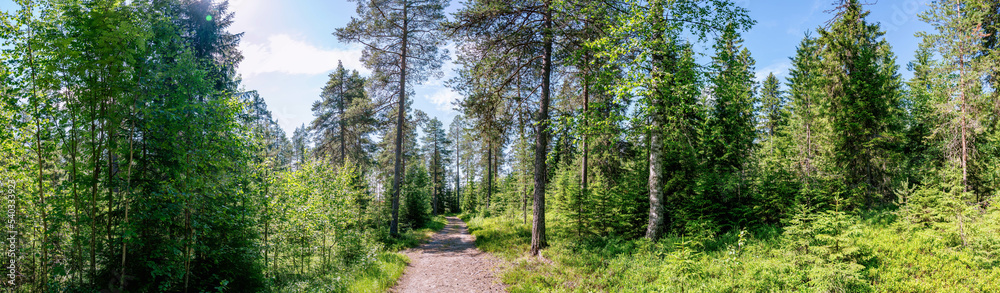 Scenic wide panorama of mixed summer green forest with small road, northern Sweden. Scenic wide panorama of mixed summer green forest with small road, northern Sweden.