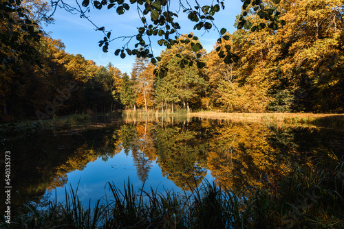 Fototapeta Naklejka Na Ścianę i Meble -  Jeziorko w lesie jesienią