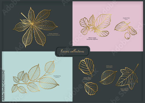 set of cards leaf