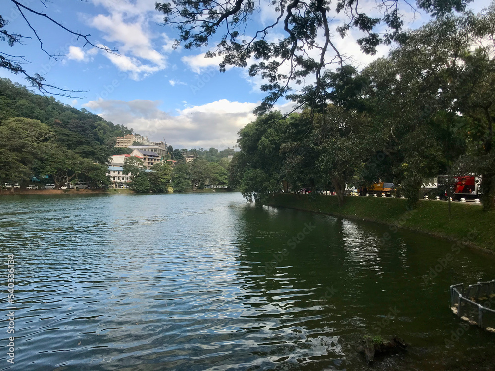Fototapeta premium Kandy, Sri Lanka, November 2019 - A body of water surrounded by trees