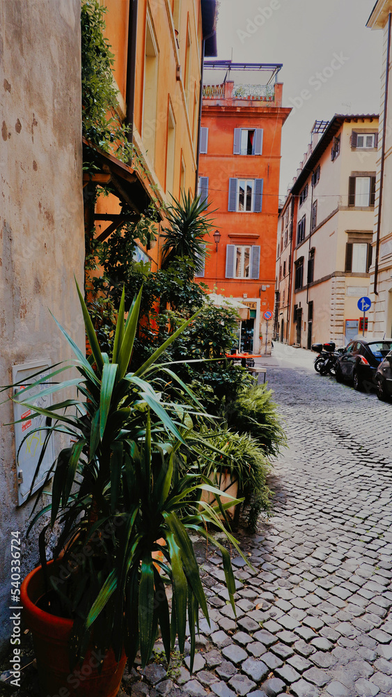 View of old cozy street in Rome, Italy. Architecture and landmark of Rome. Postcard of Rome. 