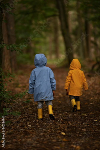 children walking in forest