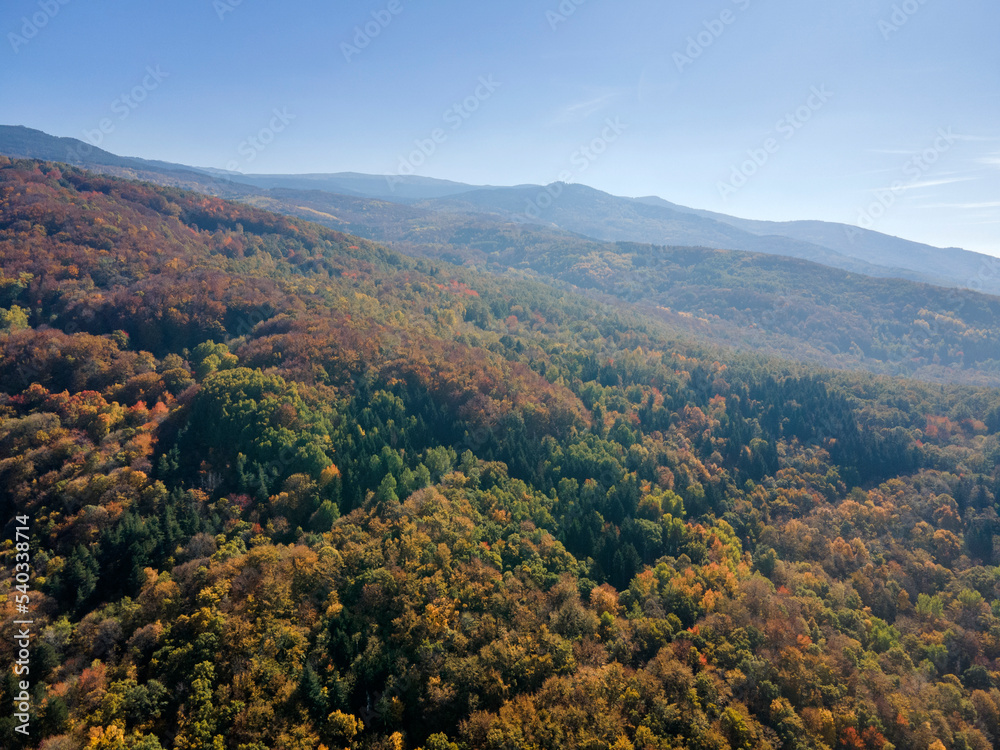 Fototapeta premium Aerial Autumn panorama of Vitosha Mountain, Bulgaria