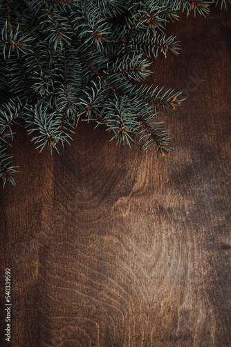 Spruce branch on a wooden background