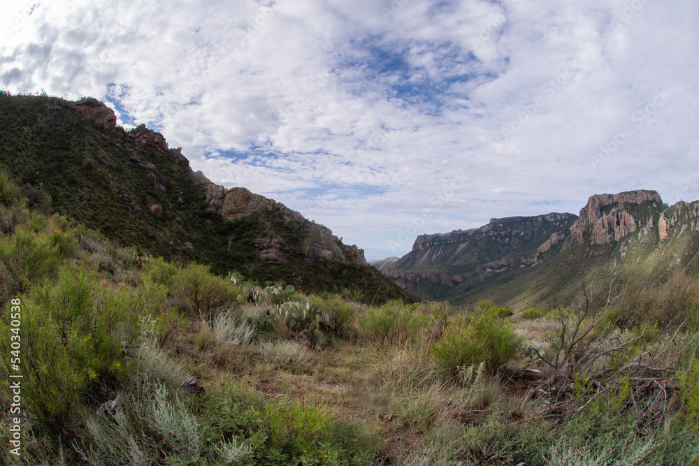 Mountain View in Big Bend National Park