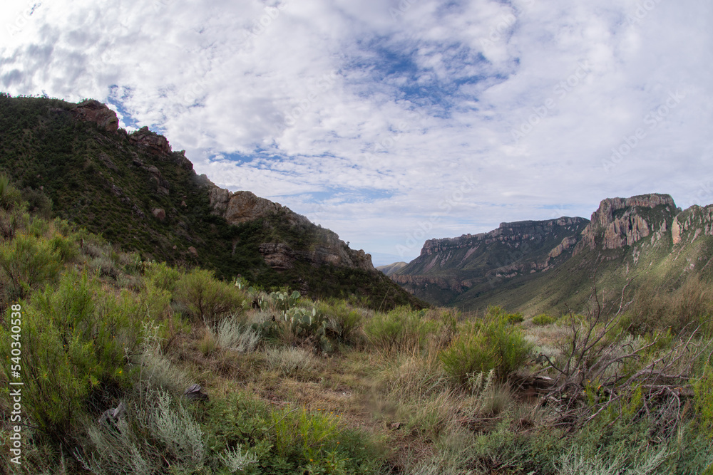 Mountain View in Big Bend National Park Mountain View in Big Bend National Park