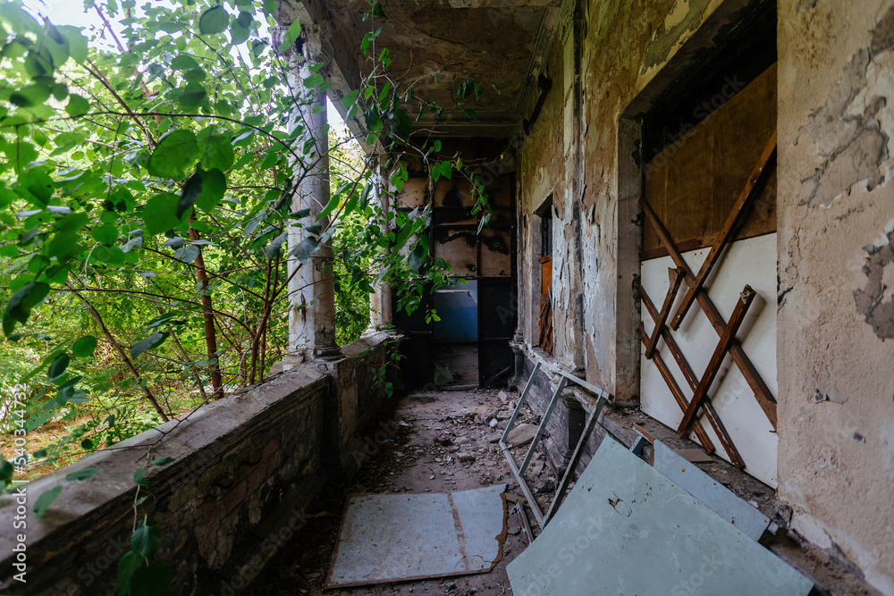 Obraz premium Old overgrown balcony of abandoned mansion