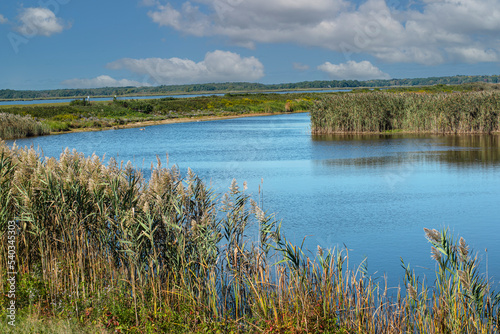 the noth pool located in parker river wild life refuge