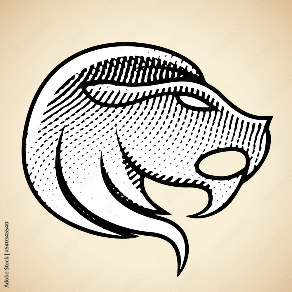 Scratchboard Engraved Lion with White Fill Scratchboard Engraved Lion with White Fill