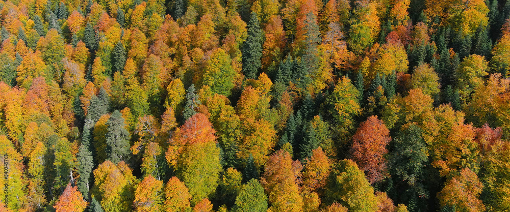 Gorgeous Autumn Landscapes
Gorgeous Autumn Landscapes