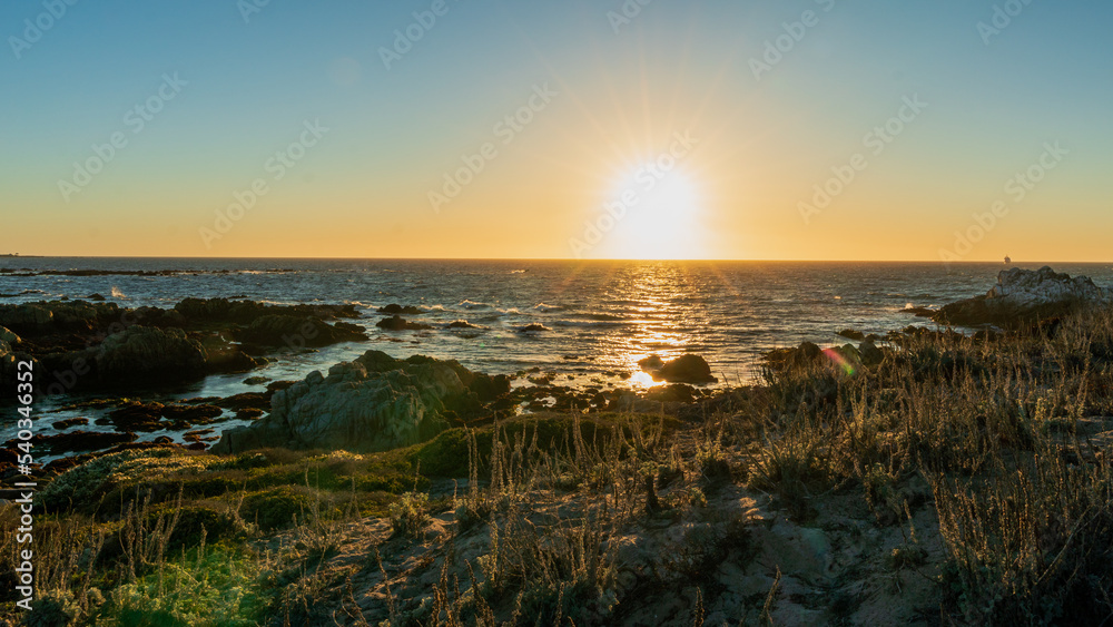 Obraz premium Pacific Grove, California between Monterey and Pebble Beach
