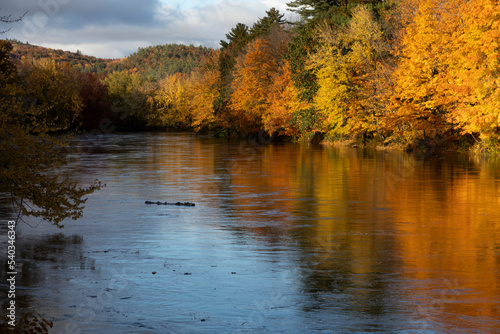 Pemigewasset river in the fall, Plymouth, USA