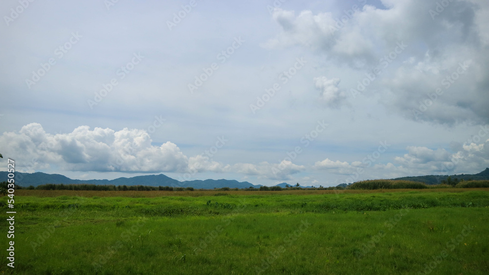 rice fields surrounded by hills and cloudy skies