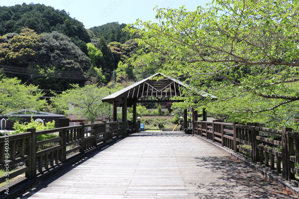 Fototapeta premium 山口県長門湯本温泉
