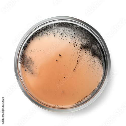 Fotografering Petri dish with bacteria colony isolated on white, top view