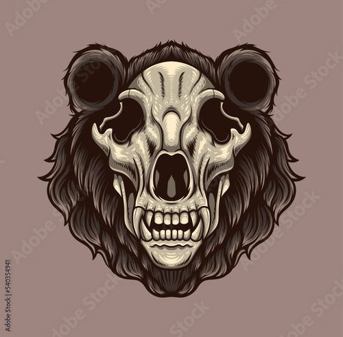 Vector illustration of grizzly bear skull