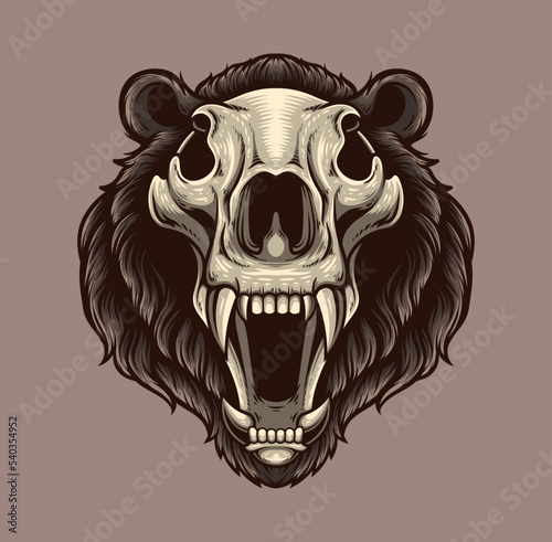 Fototapeta Naklejka Na Ścianę i Meble -  Vector illustration of grizzly bear skull