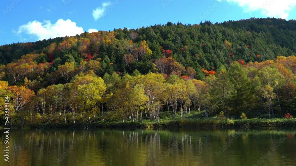 秋の志賀高原 木戸池の紅葉 秋の志賀高原 木戸池の紅葉