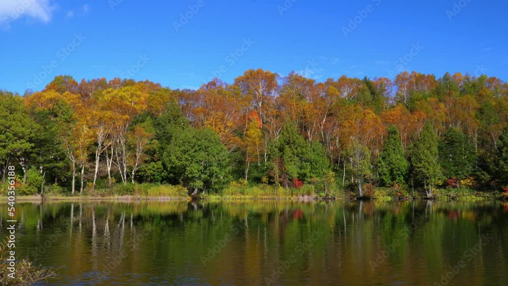 秋の志賀高原 木戸池の紅葉 秋の志賀高原 木戸池の紅葉