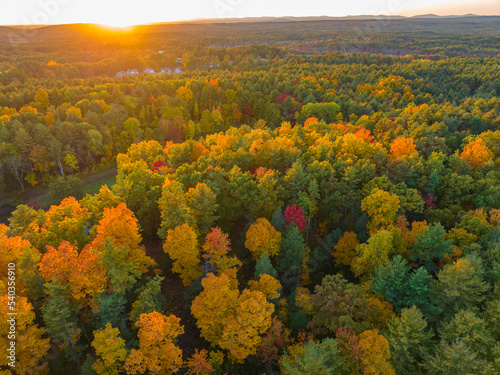 aerial view of colorful autumn forest under sunlight