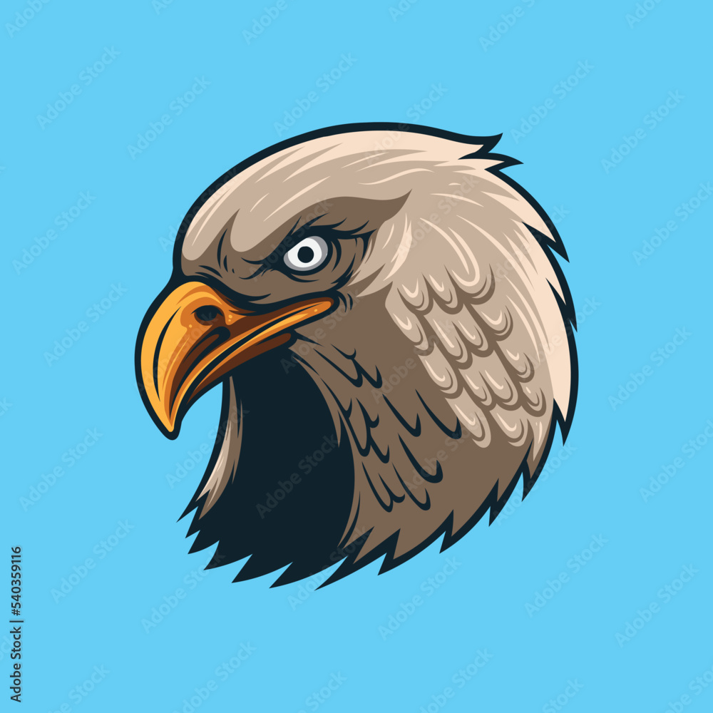 Fototapeta premium Vector illustration of eagle head isolated