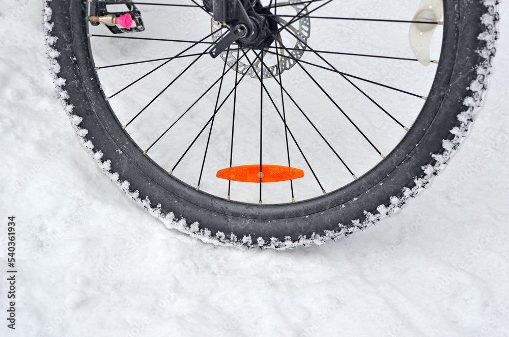 Fototapeta premium Part of bicycle wheel with studded tire