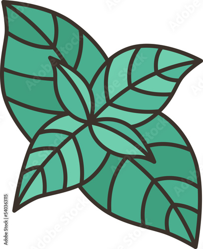 basil  icon