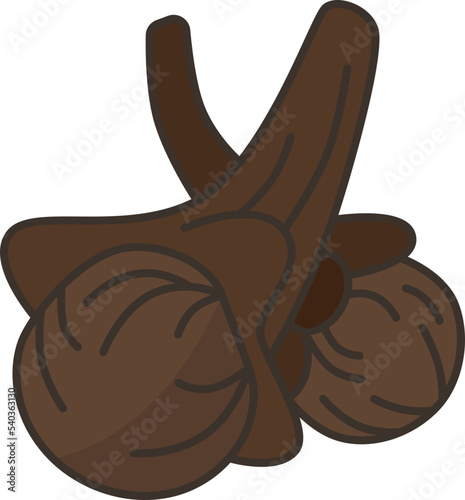 cloves  icon