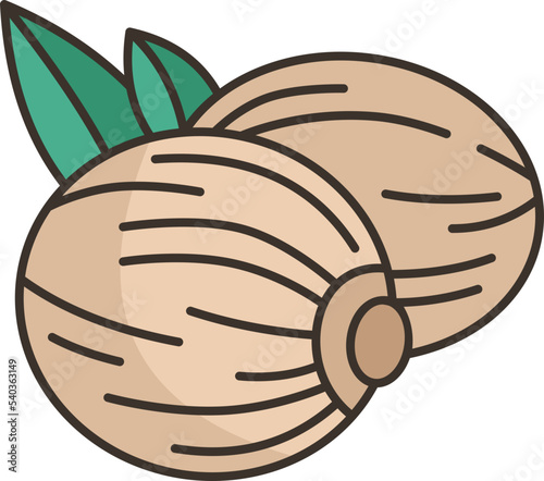 nutmeg  icon