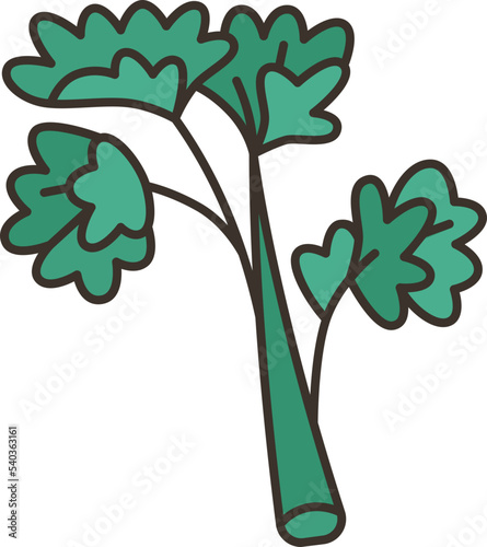 parsley  icon