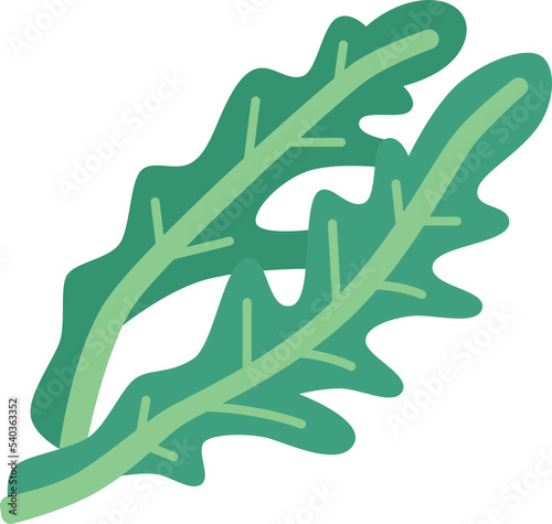 arugula  icon