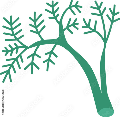 dill  icon